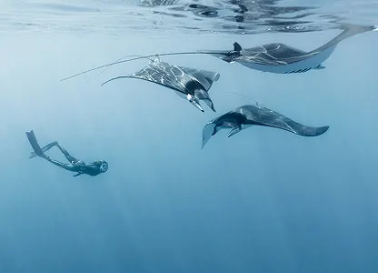 Expediciones de Buceo con GadorMunta