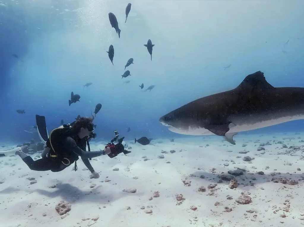 Buceo en Fuvahmulah con Gadormunta
