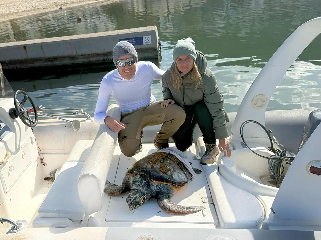Rescate de una tortuga